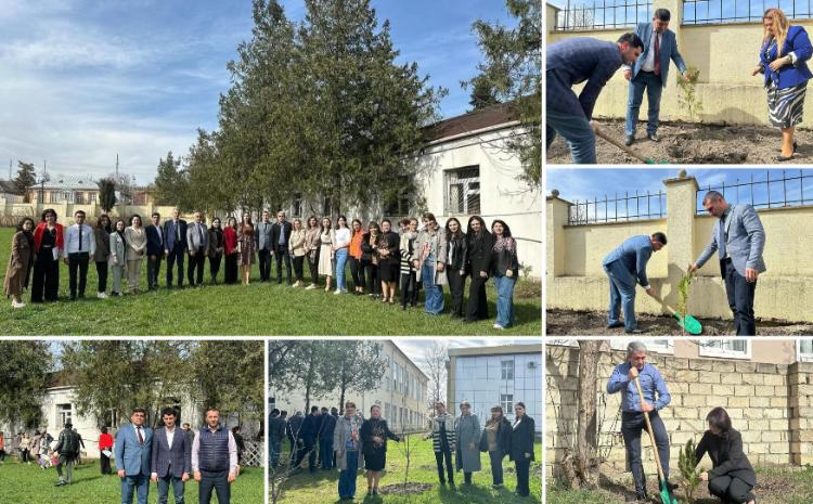 ADPU-nun Quba filialında ağacəkmə aksiyası keçirilib 