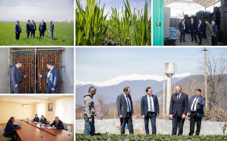 İlyas Həsənov Zaqatalada vətəndaşları qəbul edib, təsərrüfatlara baş çəkib 