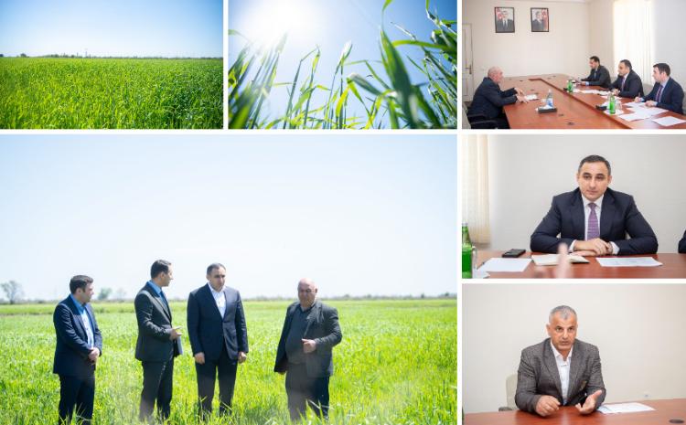 Kənd təsərrüfatı nazirinin müavini Sarvan Cəfərov Neftçalada vətəndaşları qəbul edib, təsərrüfatlara baş çəkib 