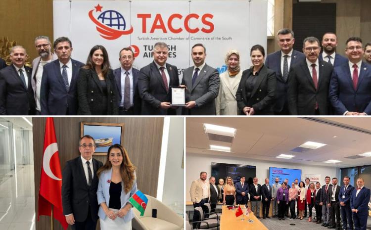 Həmyerlimiz Cənubi Türk Amerika Ticarət Palatasının (TACCS) idarə heyətinə üzv seçilib 