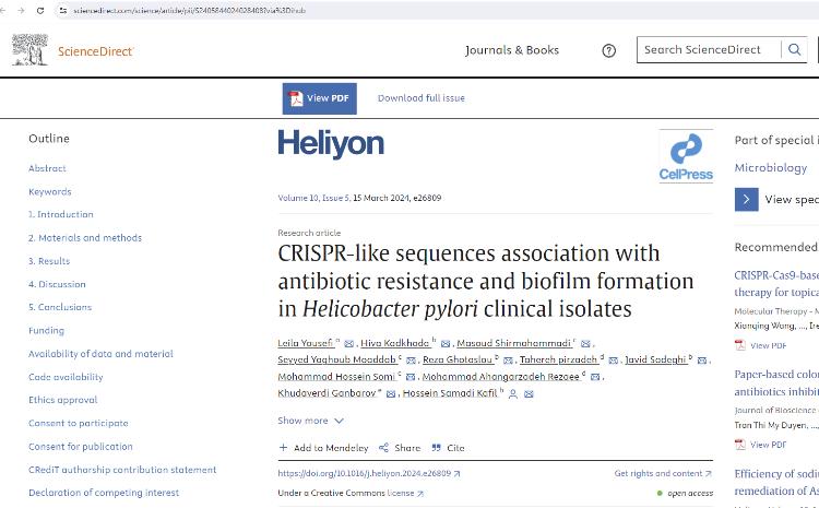В БГУ работают над получением новых изолятов против антибиотиков 