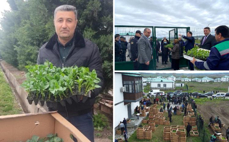 Zəngilanın Ağalı və Cəbrayılın Cocuq Mərcanlı kəndlərində sakinlərə yazlıq tərəvəz şitilləri paylanılıb 