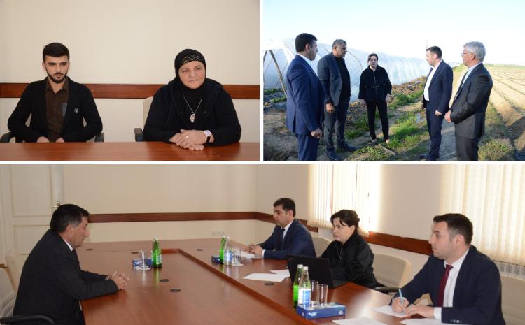 Kənd təsərrüfatı nazirinin müavini İlhamə Qədimova Masallıda vətəndaşları qəbul edib, fermerlərlə görüşüb 