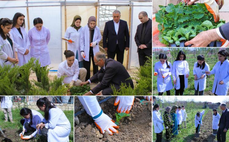 AFAQ layihəsi çərçivəsində aqrar sahədə magistratura üzrə təhsil alan tələbələrə dəstək göstərilib 