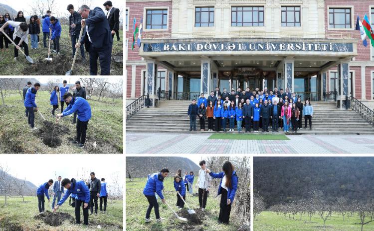 В Губинском учебно-практическом центре отдыха БГУ прошла акция по посадке деревьев 