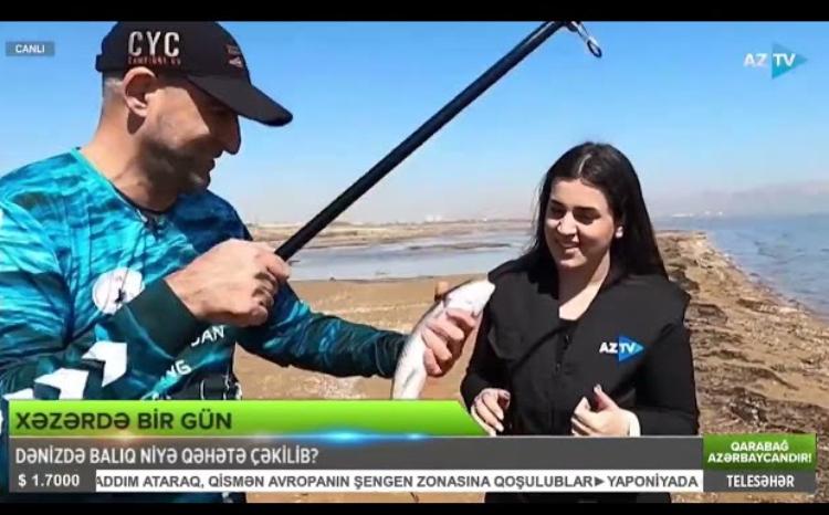 Balıq istəyən özünü suya vurar: Xəzərdə balıq niyə qəhətə çəkilib? - VİDEO
