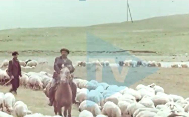 Yayı sərin, qışı mülayim keçən məşhur Batabat yaylağı: AzTV-nin "Qızıl Fond"undan NADİR GÖRÜNTÜLƏR