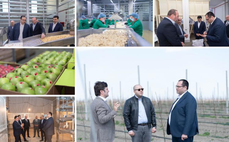 Nazir Məcnun Məmmədov, Quba, Qusar və Xaçmazda təsərrüfatlara baş çəkib, fermerlərlə görüşüb 