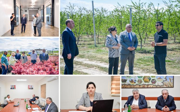 Kənd təsərrüfatı nazirinin müavini İlhamə Qədimova Qusarda vətəndaşları qəbul edib, fermerlərlə görüşüb 