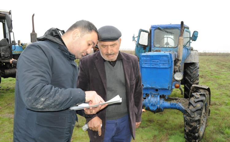 Aqrar Sığorta Fondu Neftçalada əkin sahələrində subasma halları ilə bağlı zərər dəyərləndirməsinə başlayıb 