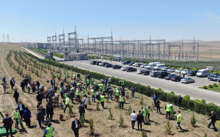 “AzərEnerji” Ulu Öndər Heydər Əliyevlə bağlı tədbirlər keçirib 