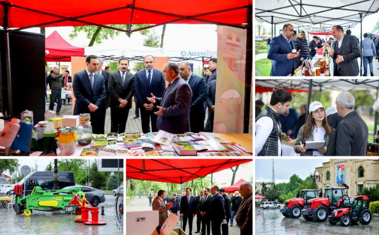 İsmayıllıda növbəti Aqrar Biznes Festivalı keçirilib 