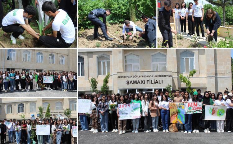 ADPU-nun Şamaxı filialında “Yaşıl artım” devizi ilə ağacəkmə aksiyası keçirilib 