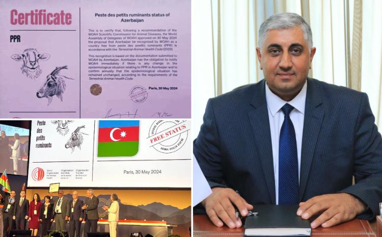 Parisdə keçirilən beynəlxalq tədbirdə Azərbaycan xüsusi sertifikata layiq görülüb 