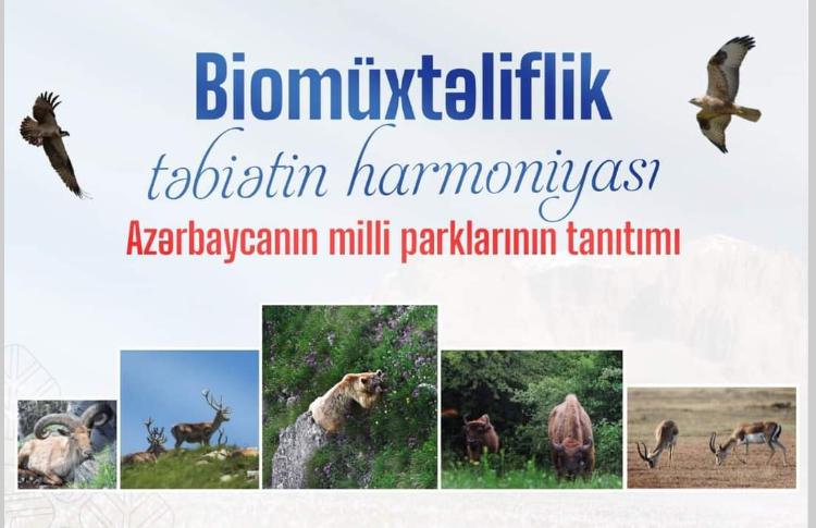 “Azərbaycanın milli parklarının tanıtımı”nda ekoturizm həvəskarlarını nə gözləyir? 