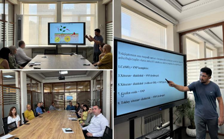 В БГУ изучают влияние наночастиц на растения 