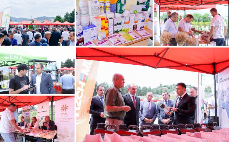 Gədəbəydə Aqrar Biznes Festivalı keçirilib 