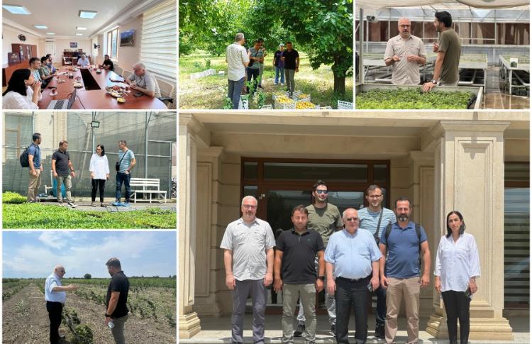 Azərbaycan və Türkiyənin Elmi-tədqiqat institutları birgə layihə həyata keçirirlər 