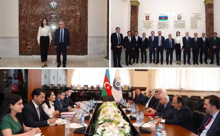 Ombudsman Səbinə Əliyeva Türkiyənin Konstitusiya Məhkəməsinin sədri ilə görüşüb 