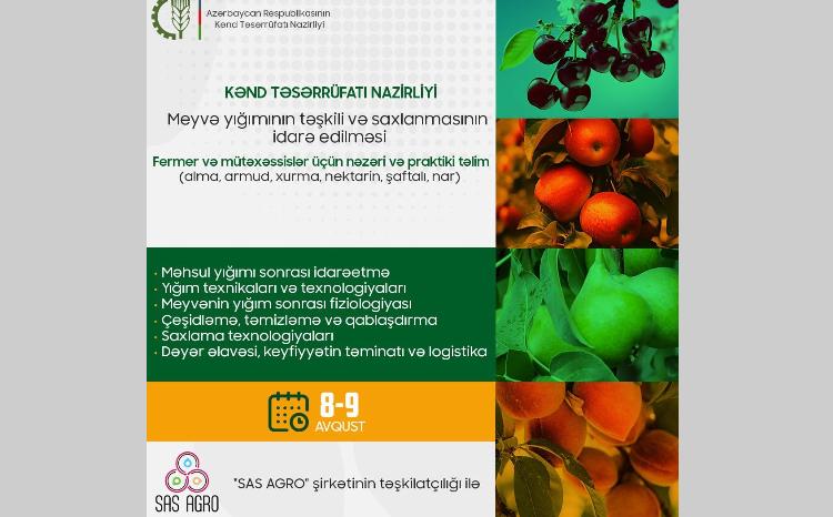 Fermerlər üçün meyvə yığımının təşkili və saxlanmanın idarə edilməsi üzrə təlim keçiriləcək 