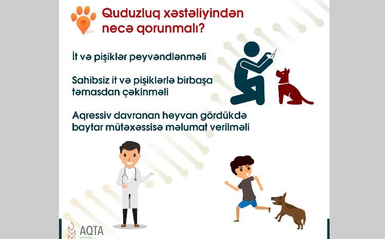 Quduzluq xəstəliyindən necə qorunmaq olar? 