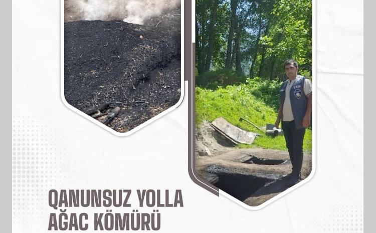 Qanunsuz yolla ağac kömürü istehsal edilən quyular aşkarlanıb 