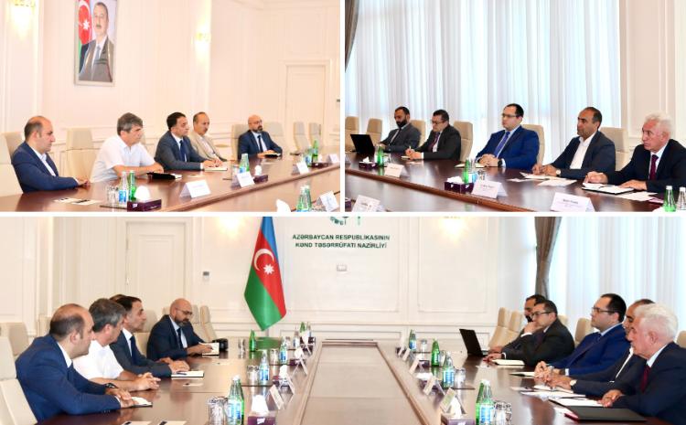 Nazir Məcnun Məmmədov Azərbaycan Arıçılar Assosiasiyasının İdarə Heyətinin üzvləri ilə görüşüb 