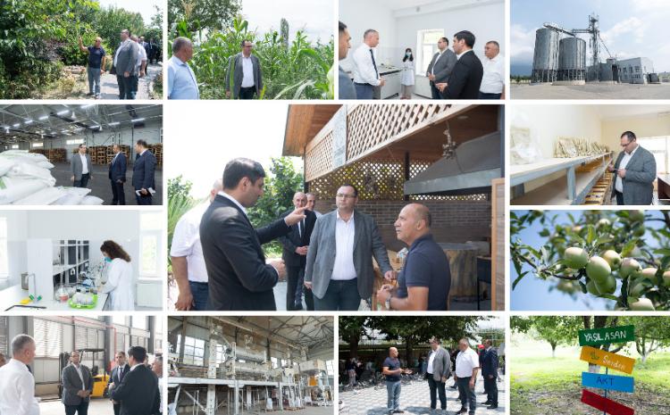 Nazir Məcnun Məmmədov Şəkidə nazirliyin regional bölmələrinin fəaliyyəti ilə tanış olub, təsərrüfatlara baş çəkib 