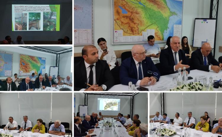 Bakıda problem yaradan yabanı ağacların götürülməsi asanlaşdırıldı 