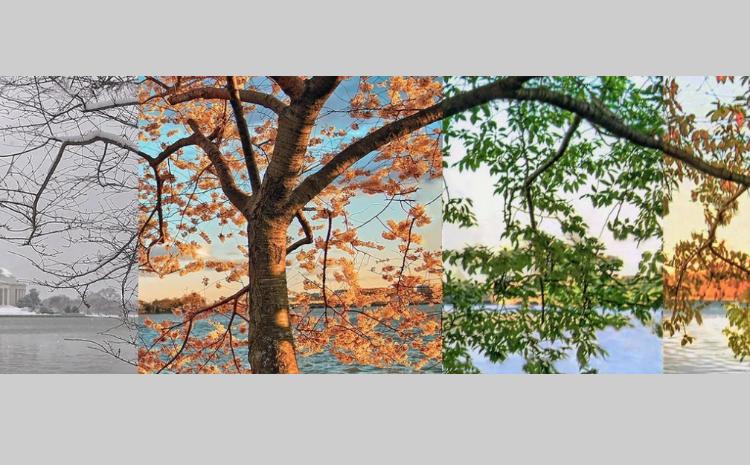 Астрофизики БГУ объявила сроки наступления времен года в 2025 году 