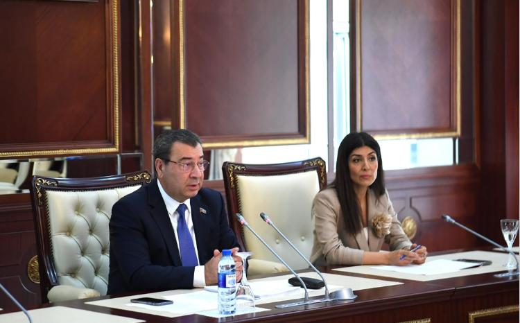 Milli Məclisin Beynəlxalq münasibətlər və parlamentlərarası əlaqələr komitəsinin iclası keçirilib 