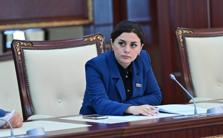 "Azərbaycanın tarixi qələbəsi və beynəlxalq arenada əzmli mübarizə" 