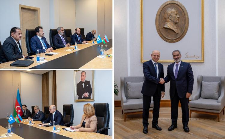Energetika naziri OPEC-in Baş katibi ilə görüşüb 