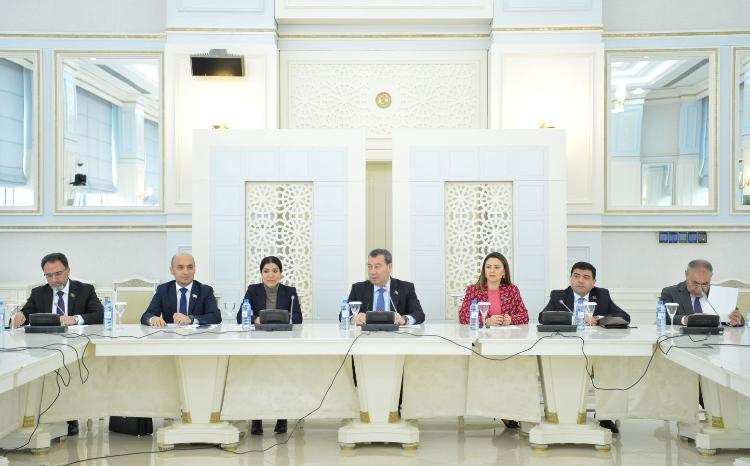 Milli Məclisdə “Diplomatiya Könüllüləri” ilə görüş keçirilib 