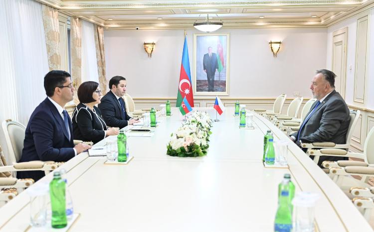 Milli Majlis Speaker Sahiba Gafarova Meets with Ambassador of Czech Republic 