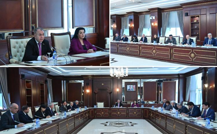 Milli Məclisin Təbii ehtiyatlar, energetika və ekologiya komitəsinin iclasında 