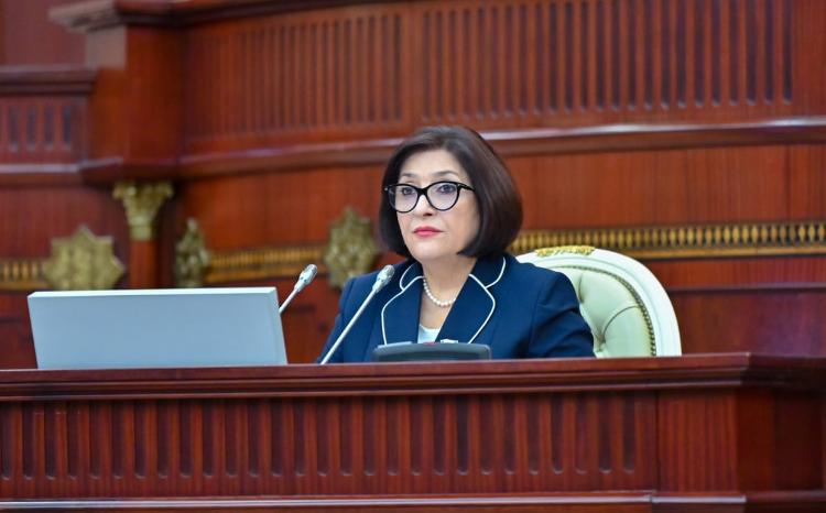 Sahibə Qafarova deputatlara Türkiyə səfəri barədə məlumat verdi 