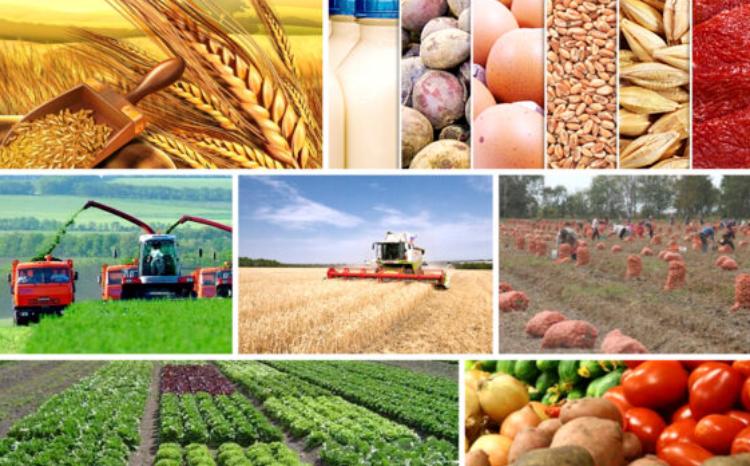 Azərbaycanın aqrar ixracı: 139 milyon manatın ölkəyə qaytarılması təmin olundu 