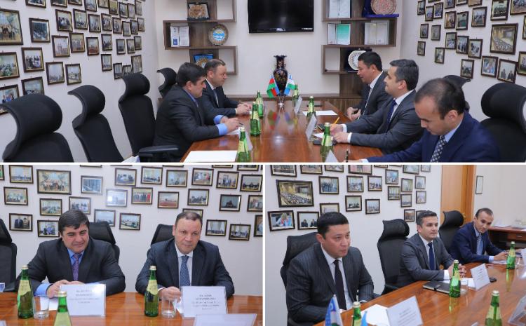 В Ташкентском государственном юридическом университете прошла встреча с делегацией БГУ 