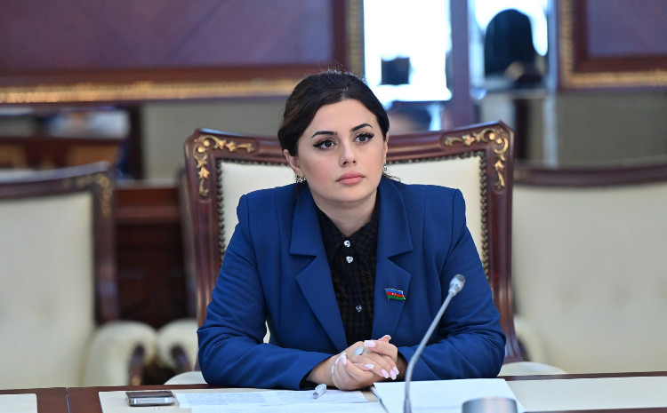 Azərbaycan və Gürcüstan ölkələri arasında münasibətlər bütün sahələrdə inkişaf edir 