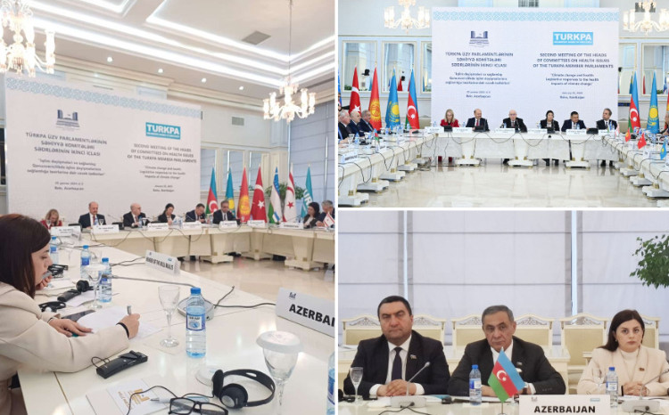 Pərvanə Vəliyeva: "İqlim dəyişikliyi insan sağlamlığı üçün ən böyük riskdir" 