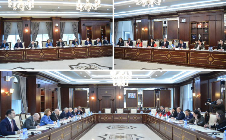 Milli Məclisdə TÜRKPA-ya üzv ölkələrin parlamentlərinin Səhiyyə komitələrinin sədrləri ilə görüş 