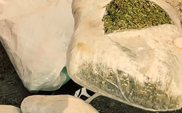 Nəsimi rayonunda polisin əməliyyatları zamanı 16 kiloqram narkotik vasitə aşkarlanıb - VİDEO