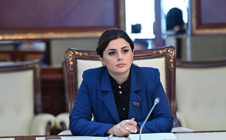Paşinyanın manipulyasiyası: Reallıq və tarixi həqiqətlər 
