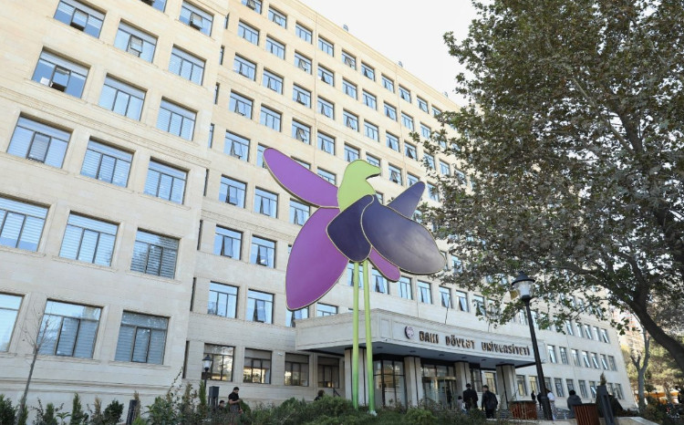 7 студенток БГУ примут участие в «Программе молодых талантов» SOCAR 