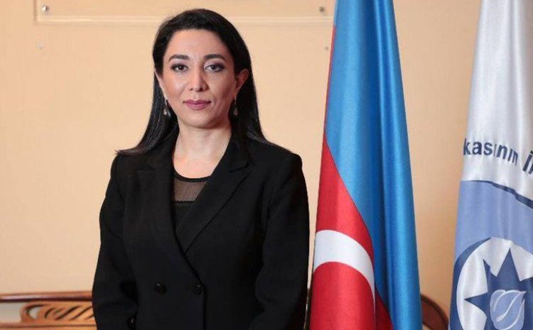 Ombudsman 2024-cü il üzrə məruzəsini təqdim edib 