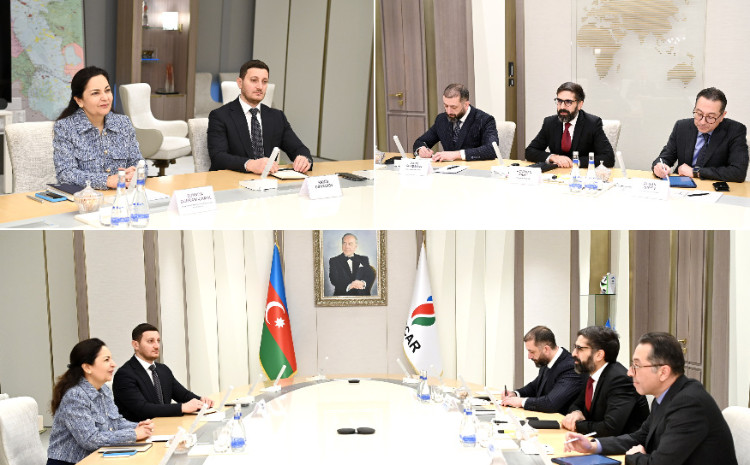 SOCAR-ın prezidenti Asiya İnkişaf Bankının Azərbaycan üzrə ölkə direktoru ilə görüşüb 