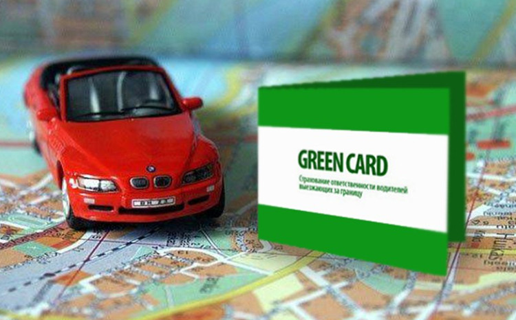 2024-cü ildə Yaşıl Kart Sistemi üzrə 50 mindən çox müqavilə rəsmiləşdirilib 