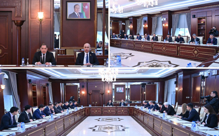 Milli Məclisin İqtisadi siyasət, sənaye və sahibkarlıq komitəsinin iclası keçirilib 