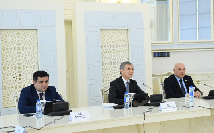 İnsan hüquqları komitəsində ombudsmanın illik məruzəsi dinlənilib 